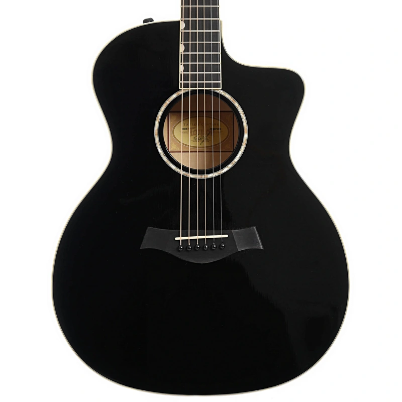 Taylor Doyle Dykes DDX Acoustic Guitar (2011)