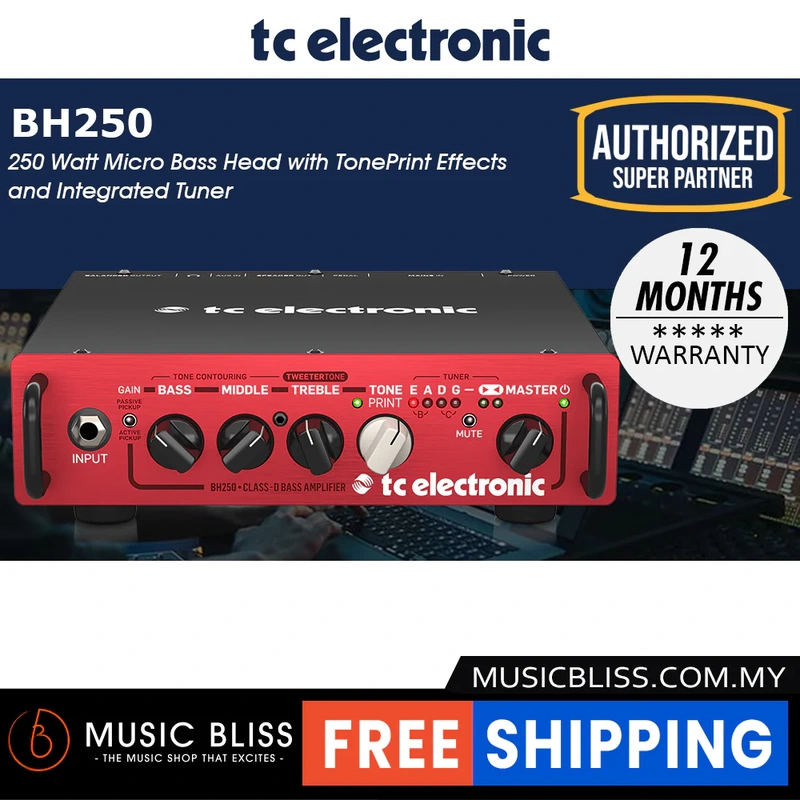 TC Electronic BH250 250-Watt Compact Bass Head