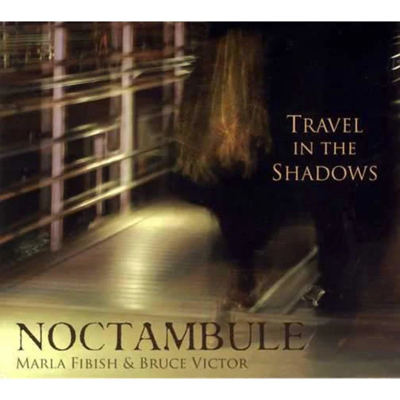 Travel in the Shadows
