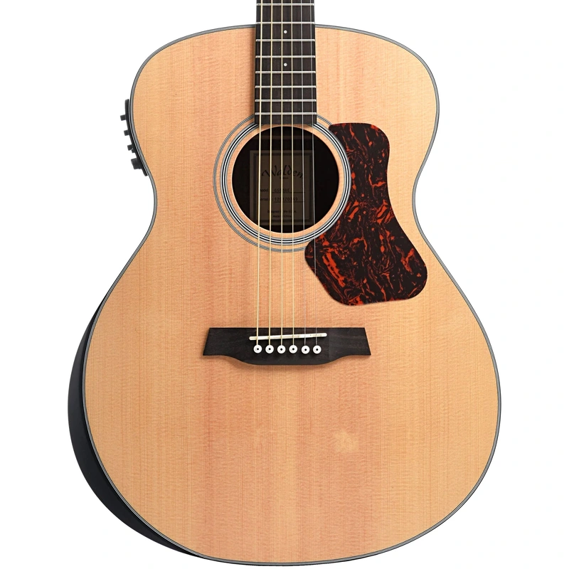 Walden Natura G550RE Acoustic-Electric Guitar & Gigbag